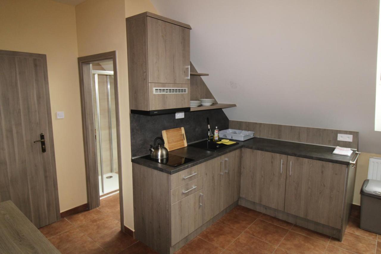 Borovec Hotel Sedlnice ภายนอก รูปภาพ